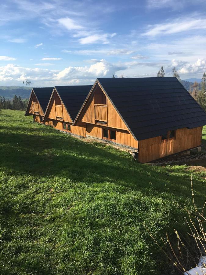 Domek Na Skarpce Zakopane Esterno foto